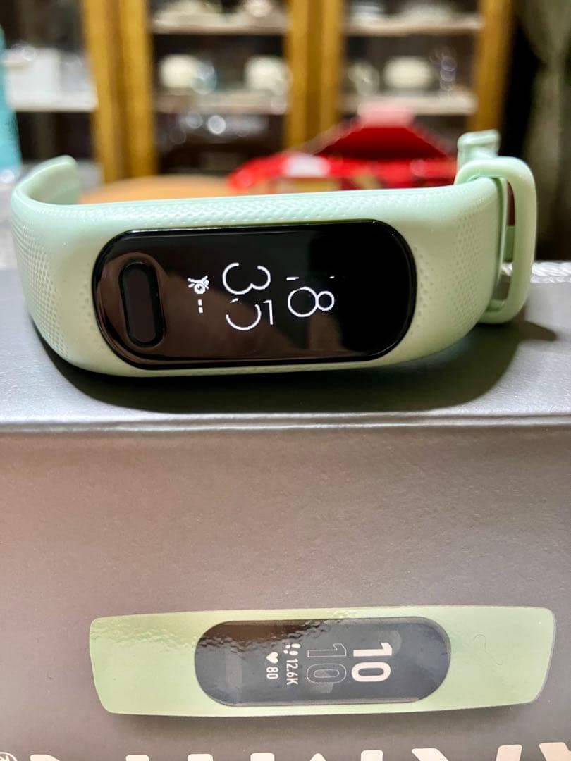 ガーミン vivosmart 5 Mint S/M アクティビティトラッカー