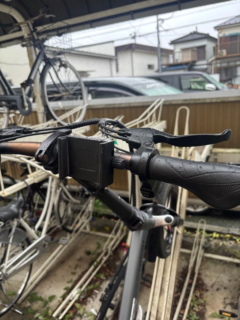 Zhengfu 電動アシスト自転車 シティタイプ