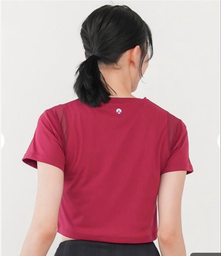 SUKALA アクティブ クロップドTee M コッパーレッド