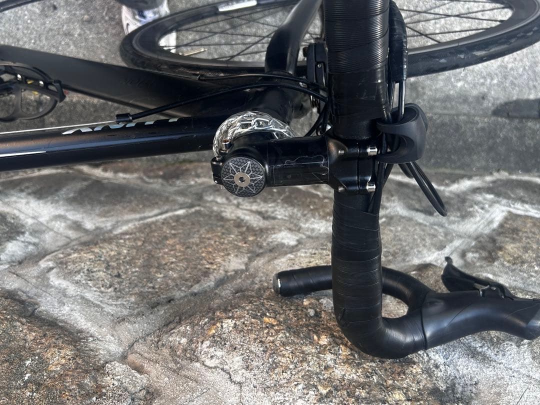 自転車本体 Panther 3.0 (custom wrapped)
