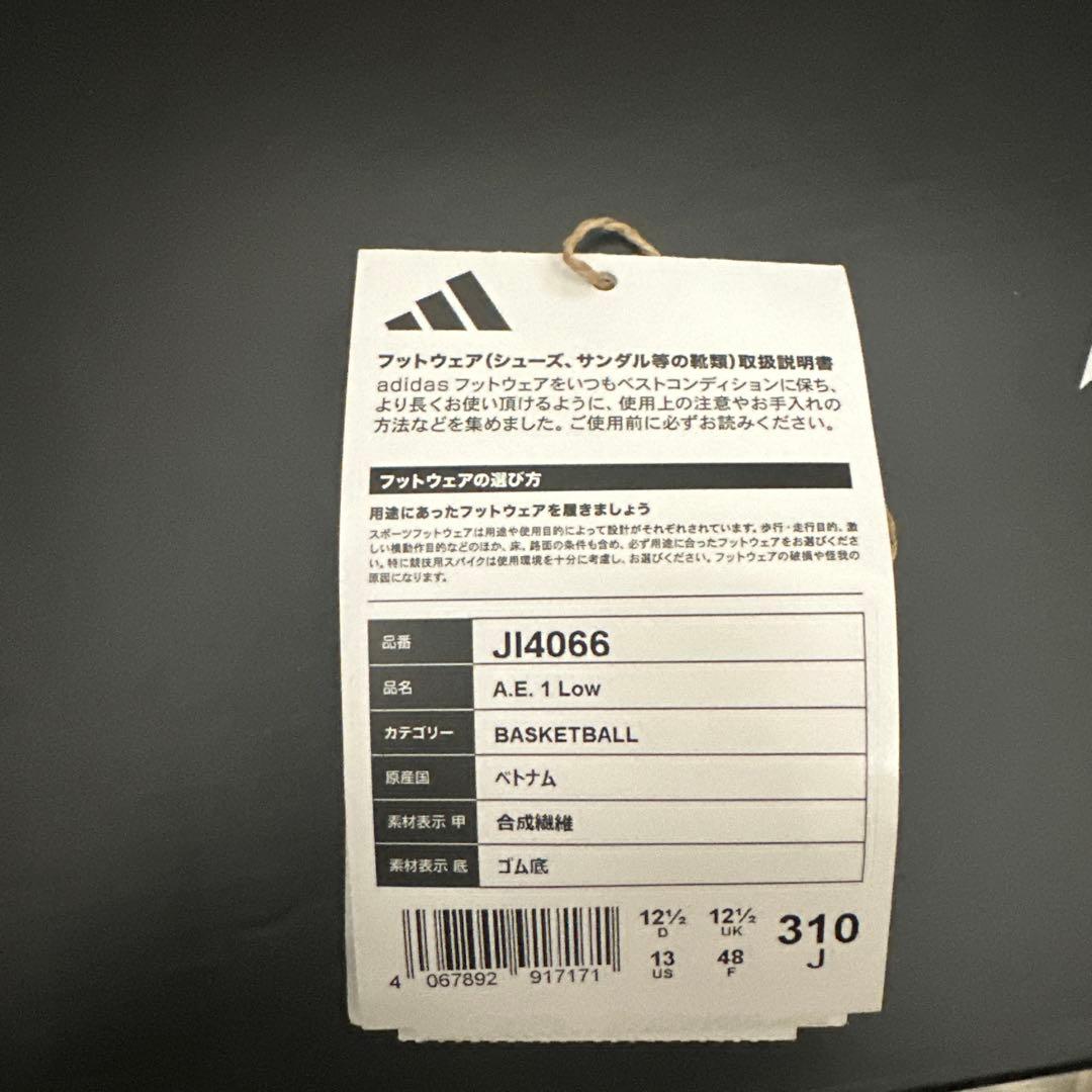 シューズ(男性用) adidas AE1 Low