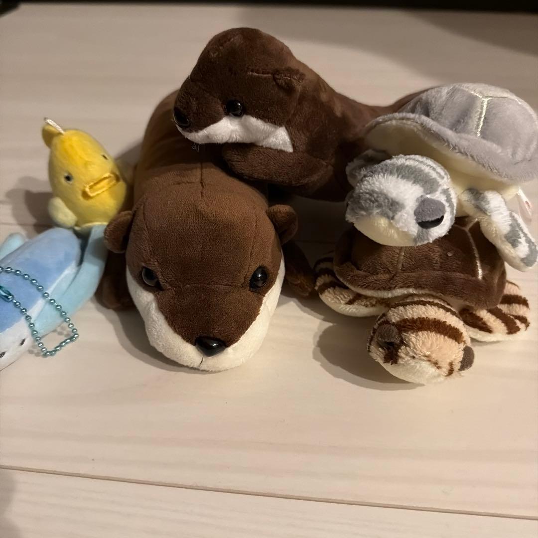 ぬいぐるみ　ポケモン　テレタビーズ　たまごっち　デットベア　水族館　まとめ売り