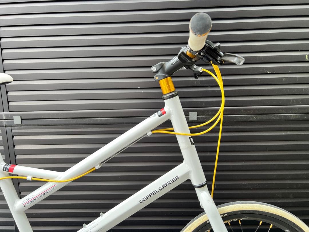 送料込◆美品◆ドッペルギャンガーinterlagos 550 20型 前カゴ付