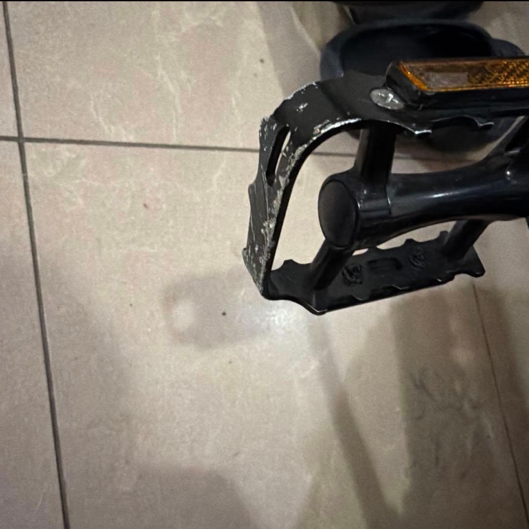 TREK DOMANE AL2 正規店購入 ※送料込み