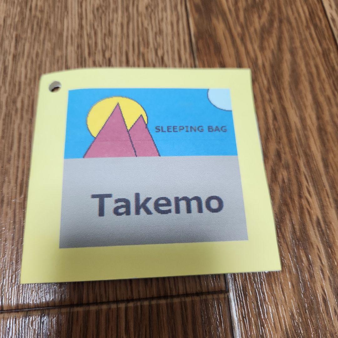 Takemo Sleeping Bag 9 マミー型