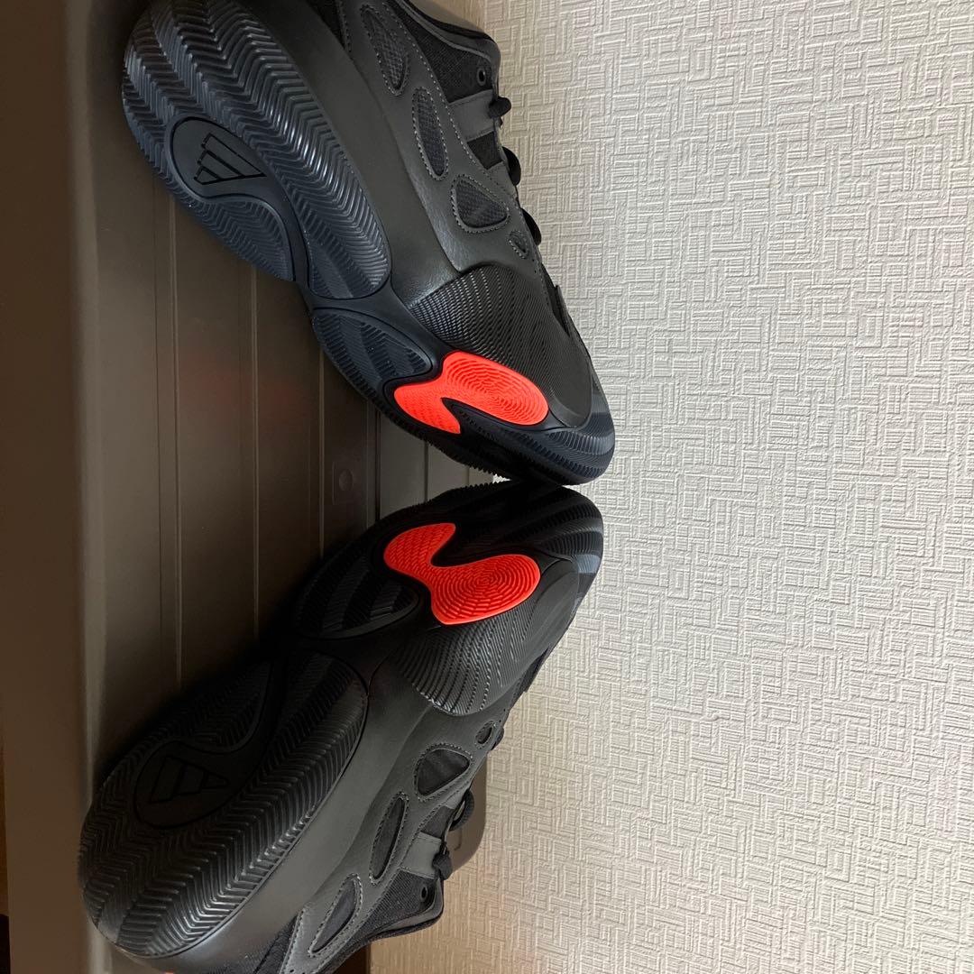 シューズ(男性用) adidas TRAE UNLIMITED 2 11 (45)