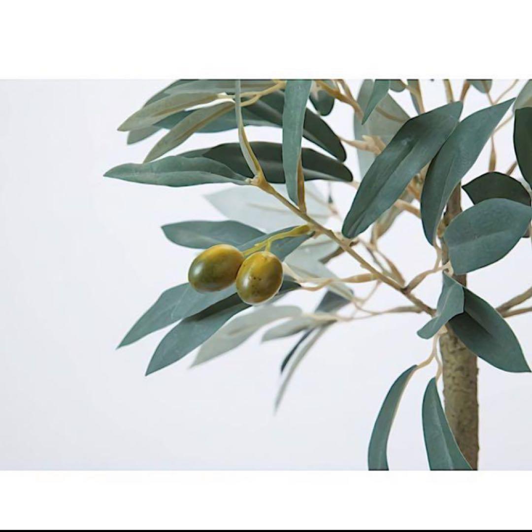 光触媒　人工観葉植物　ウォールグリーン　フェイクグリーン　オリーブ57