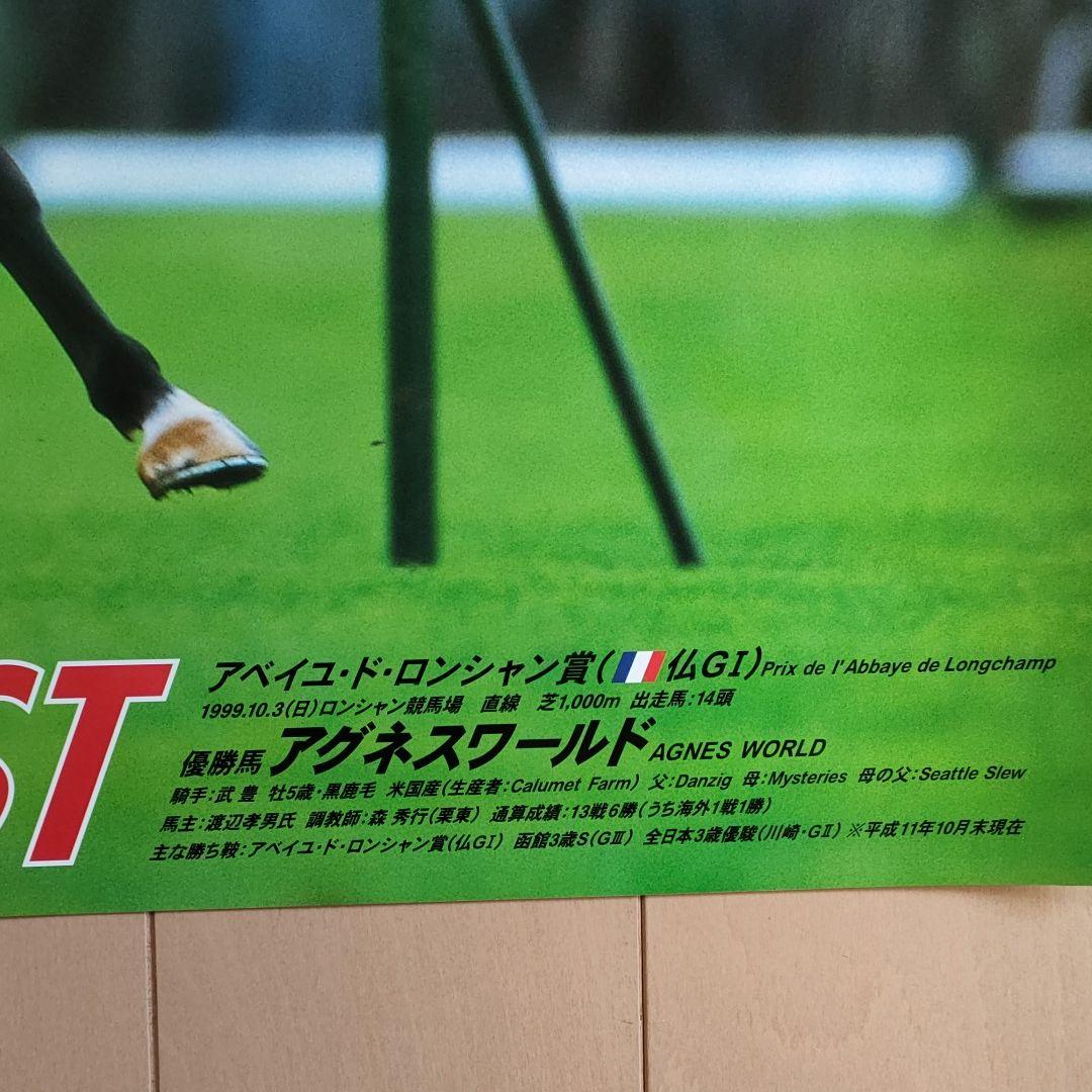 アグネスワールド ポスター　競馬　ウマ娘