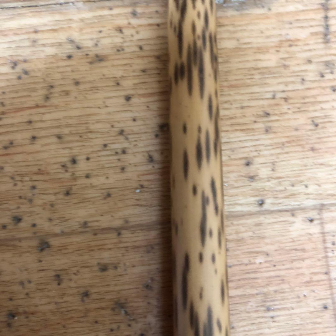 紋竹