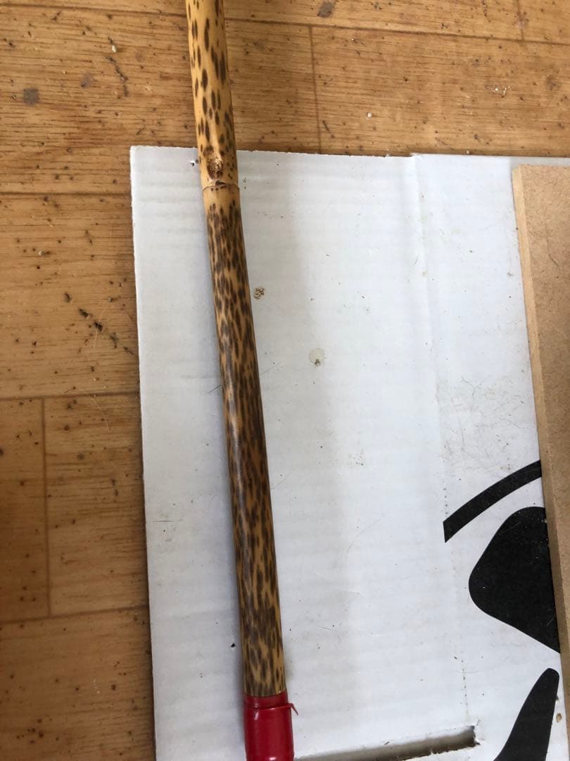 紋竹