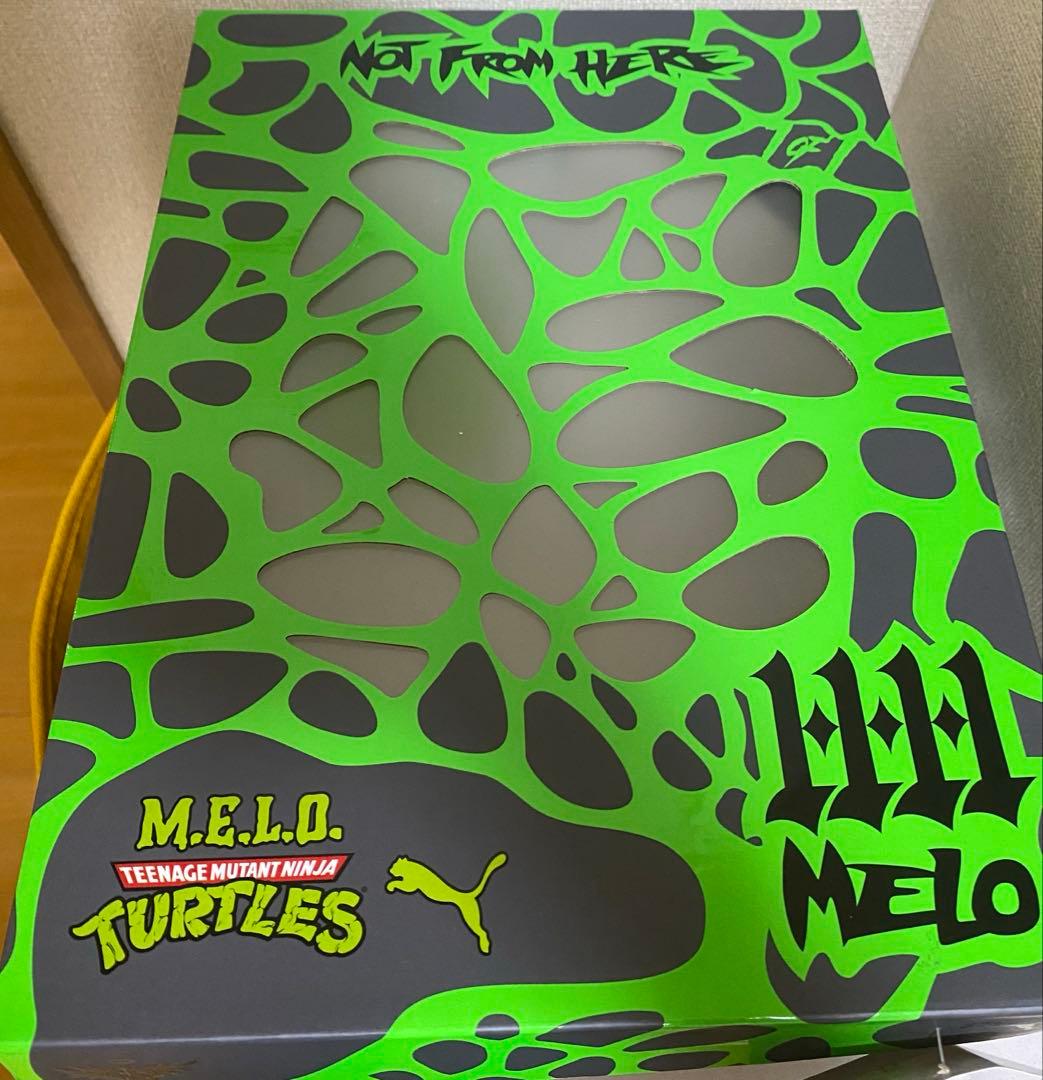 シューズ(男性用) TEENAGE MUTANT NINJA TURTLES M.E.L.O.