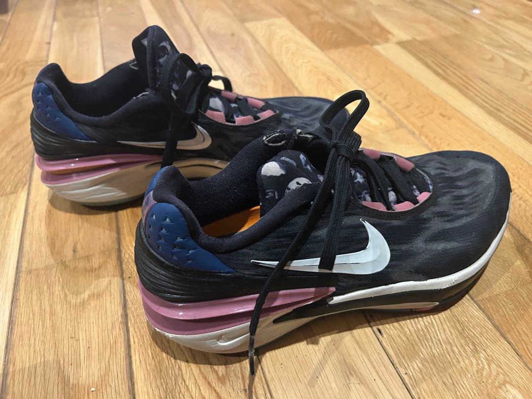 Gtcut2. 25cm バスケットシューズ　NIKE