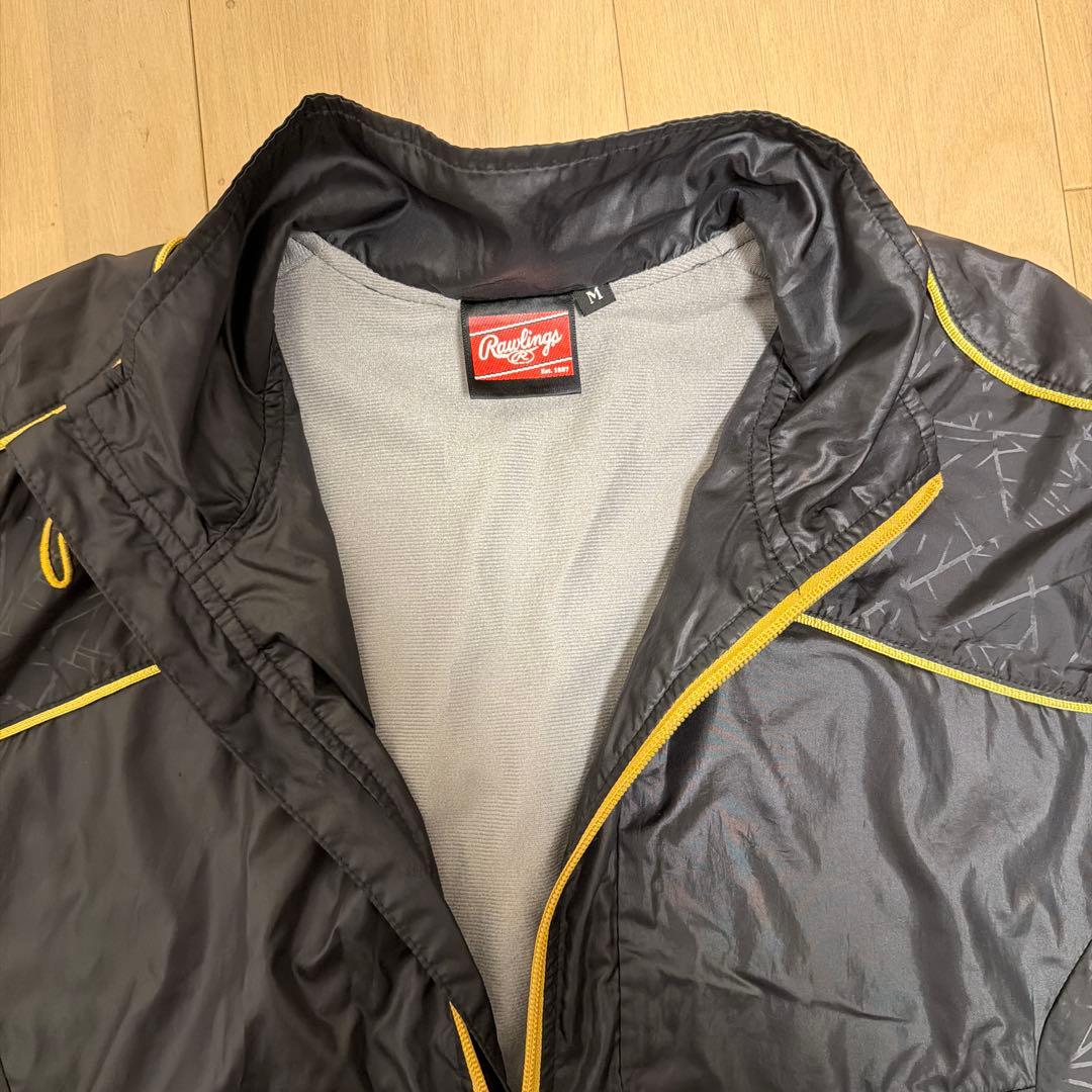 ローリングスRawlings セットアップ 上下