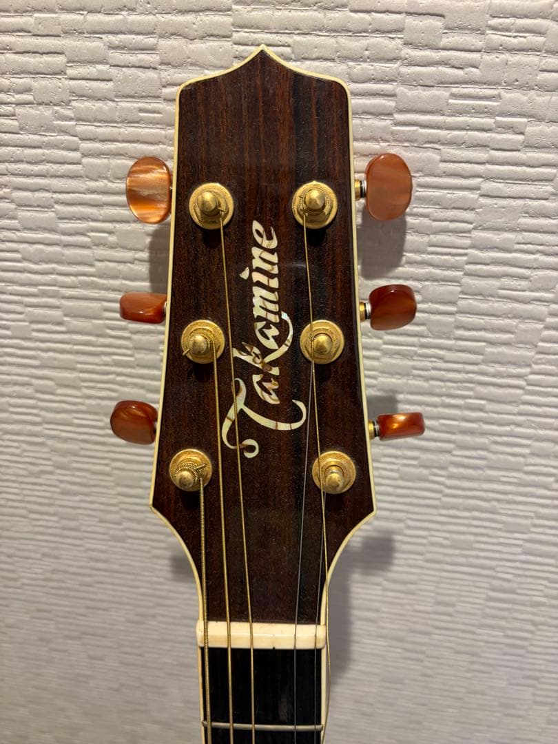 Takamine アコースティックギター DMP50s