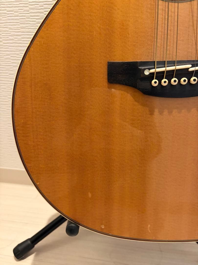 Takamine アコースティックギター DMP50s