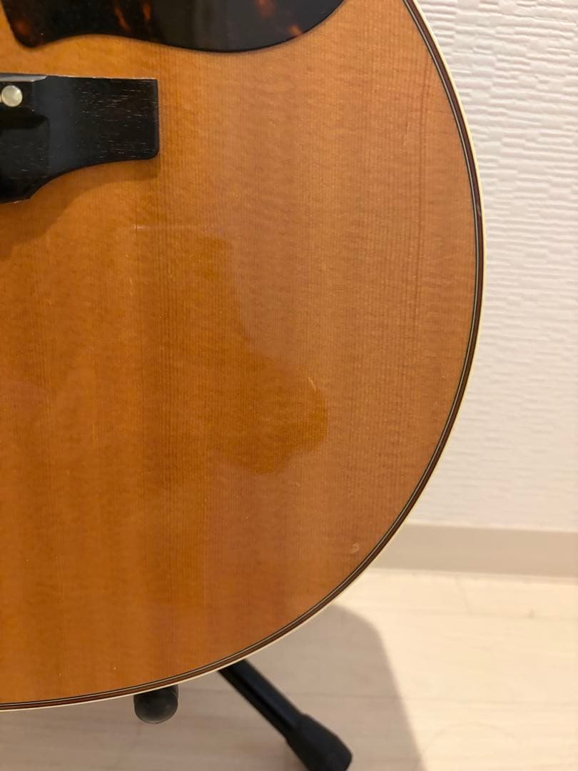 Takamine アコースティックギター DMP50s