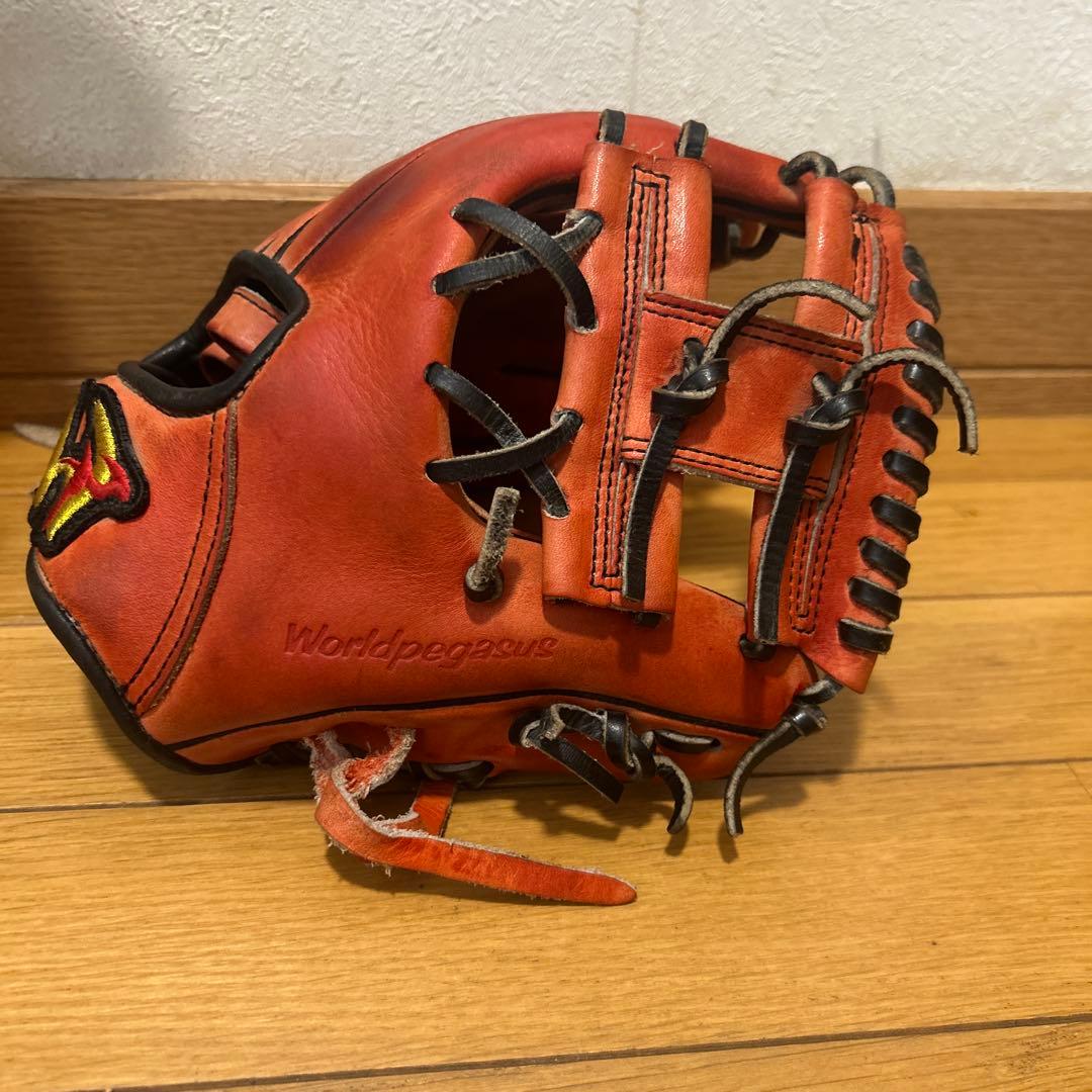 ワールドペガサス トレーニンググローブ