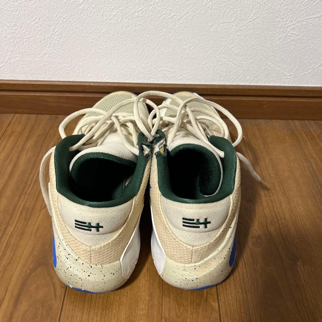 NIKE zoom freak 1 ナイキ　ズームフリーク1