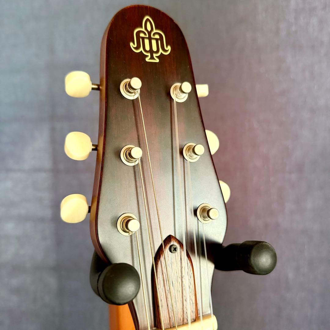 ESP BambooInn CHAR氏プロデュース　ガット弦タイプ