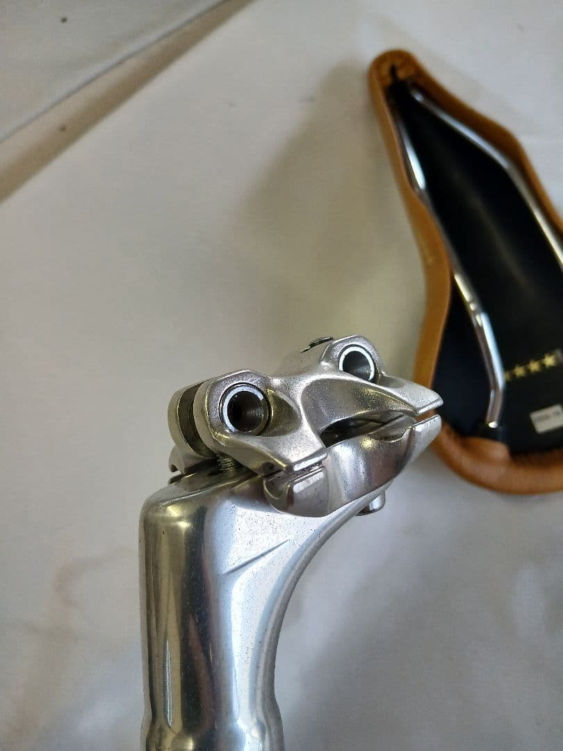 カシマ　ファイブゴールド　茶