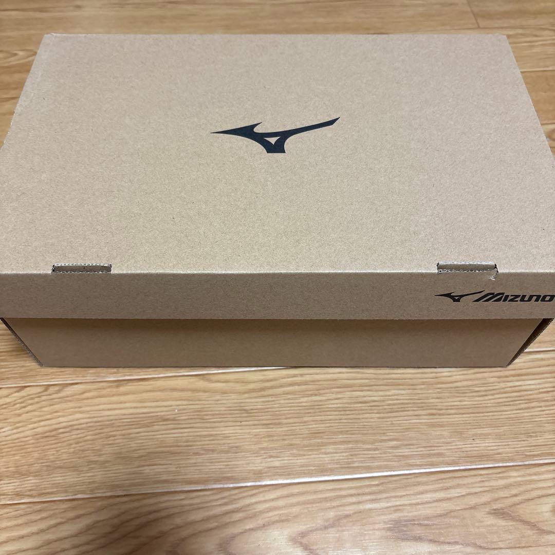 MIZUNO α PRO