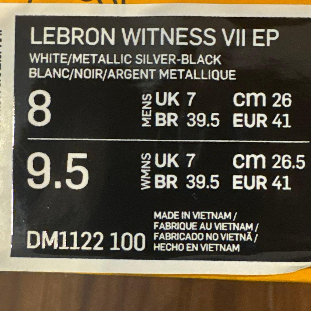 Nike LeBron バスケットボールシューズ ブラック/ホワイト
