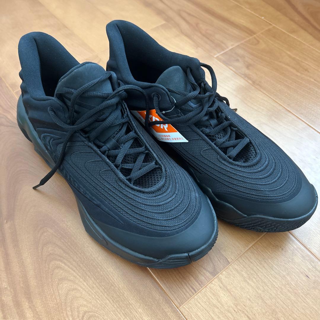 ヤニス イモータリティ4 Nike バッシュ ブラック 29cm