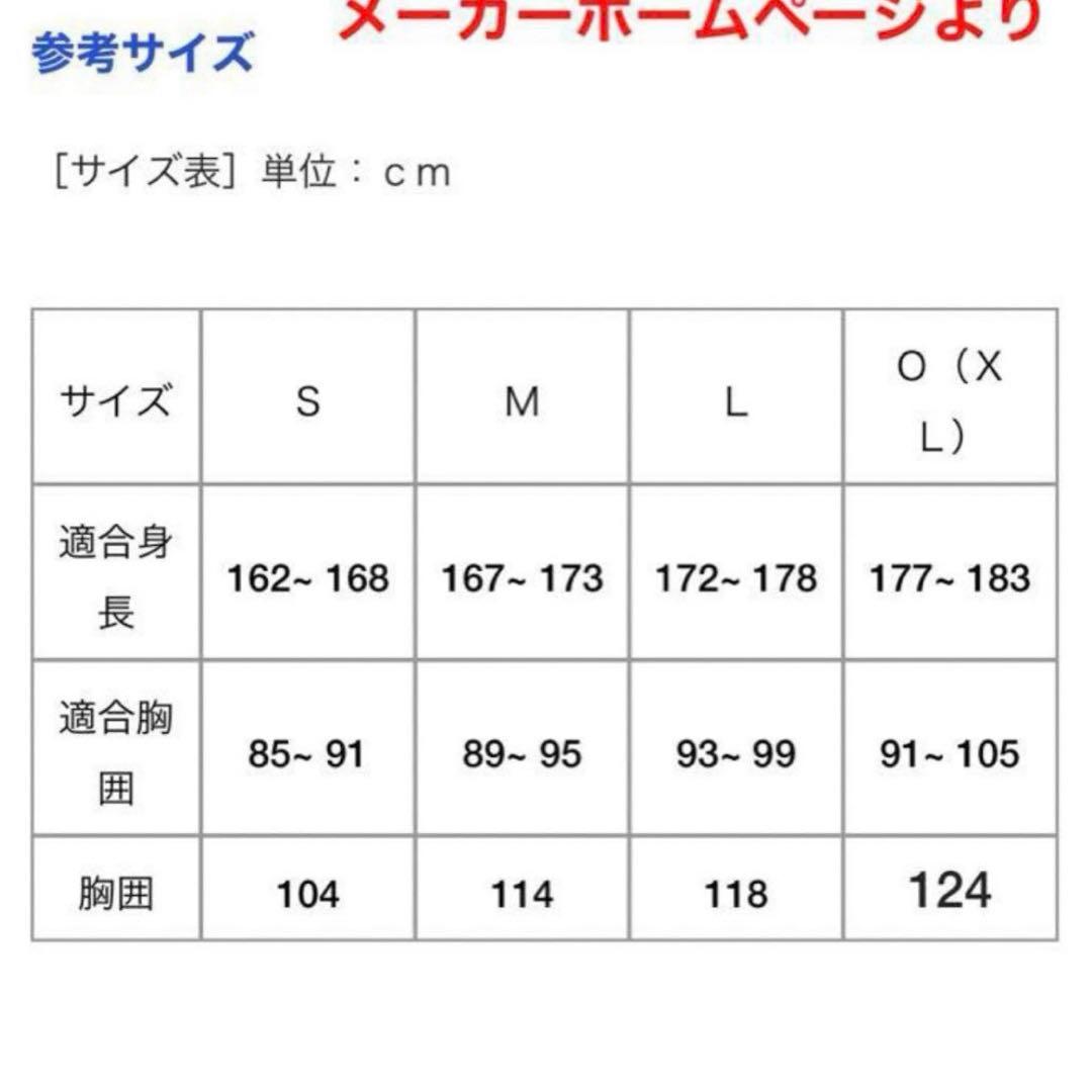 【サイン入Ｌサイズ】広島カープ 岩本貴裕 ハイクオリティユニフォーム(ビジター用