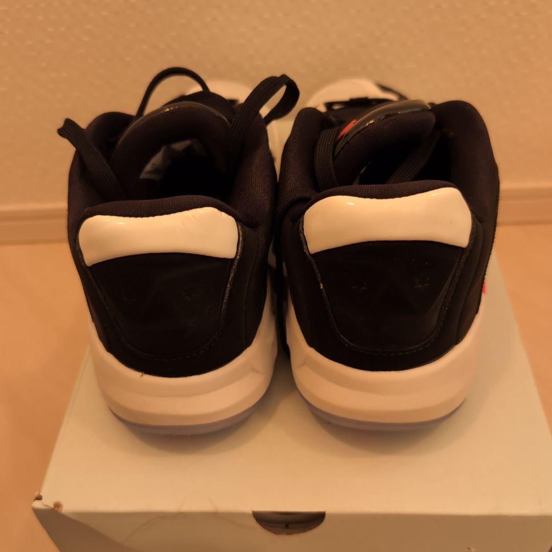 バッシュ　NIKE JORDAN LUKA 4 25センチ