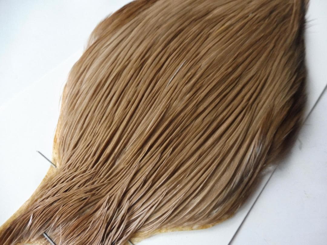 メッツ METZ コックハックルケープ MEDIUM DUN #2