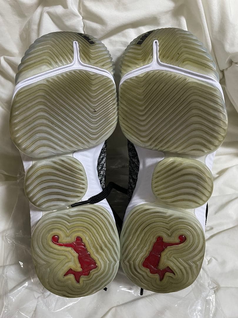 Nike LeBron 16 オレオ　バッシュ　26cm
