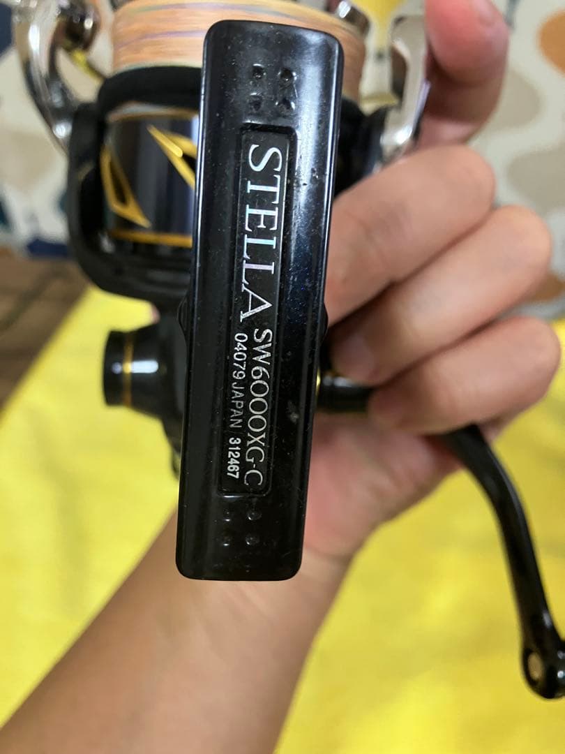 リール 20STELLA SW6000XG
