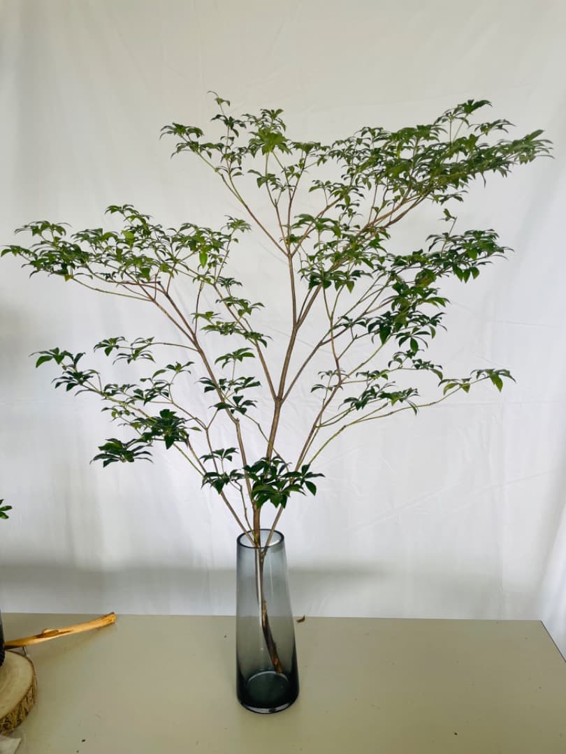 フラワーベース 込み アセビ 枝物 インテリア 装飾 生花 馬酔木 オシャレ 枝