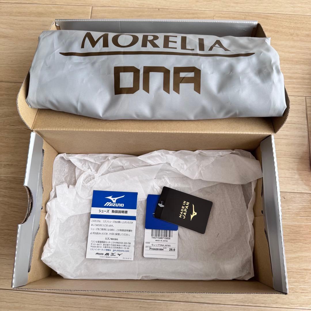 【7月限定出品】モレリア DNA 25.0