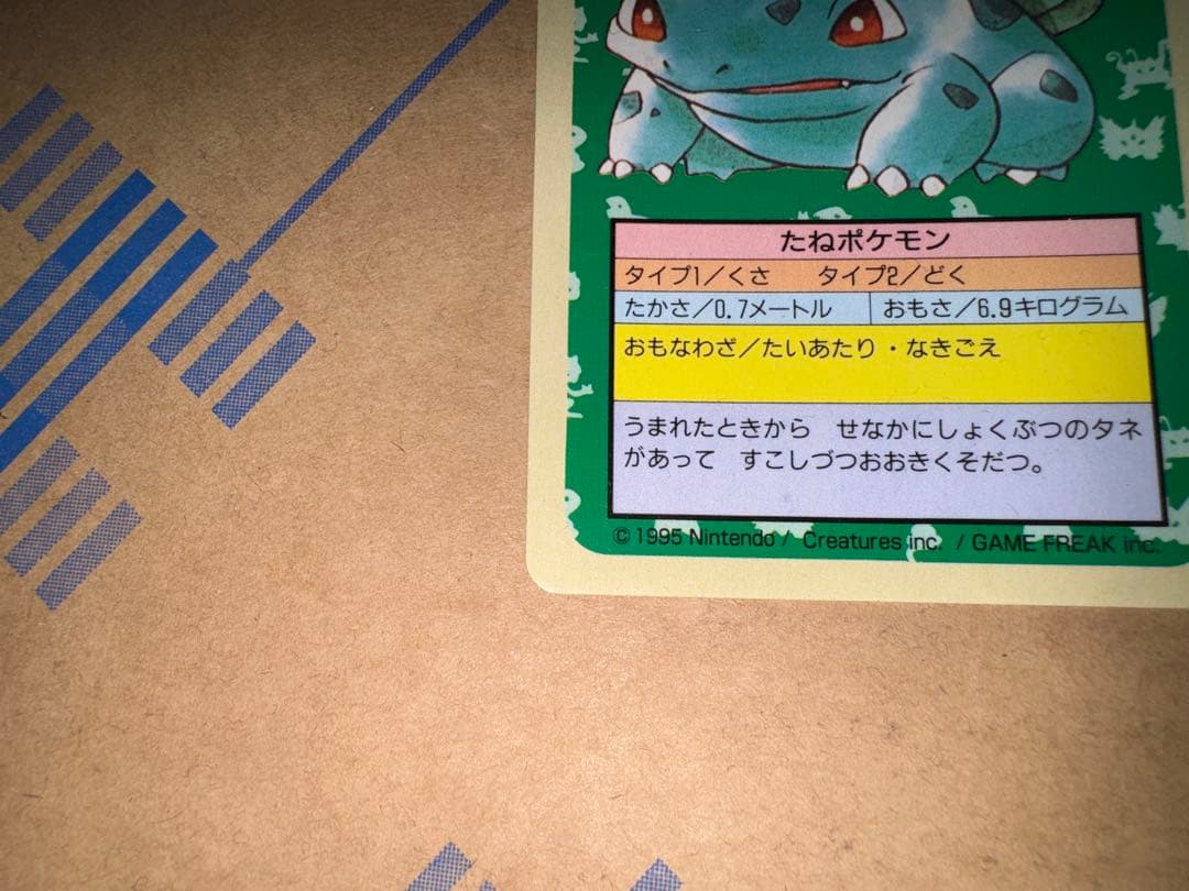 トップサン ポケモンカード フシギダネ 青裏 フシギソウ 緑裏 セット