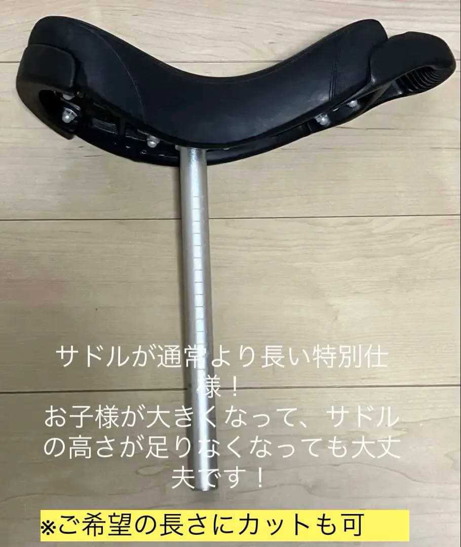 一輪車 20インチ MYSミズ ULTIMATE 02