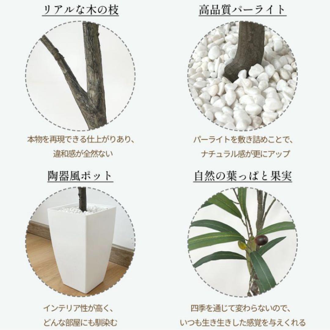 オリーブ フェイクグリーン 135cm