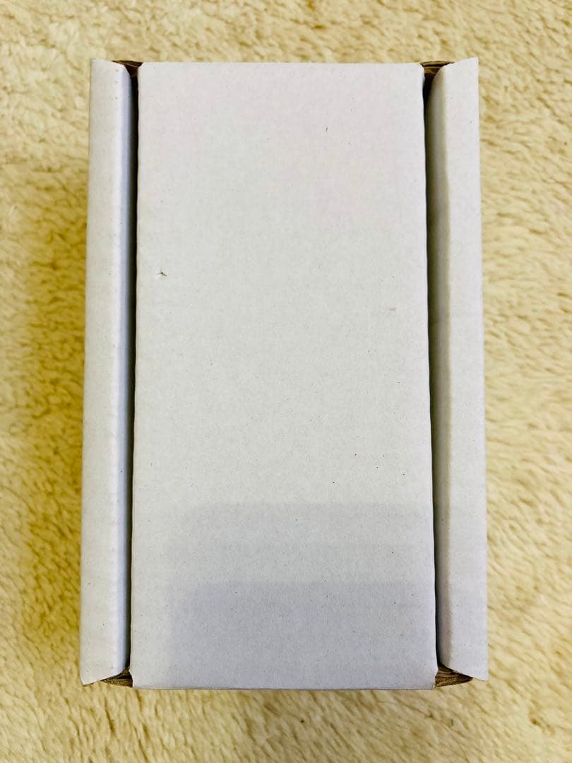 【使用1回】Verbos Electronics Amp & Tone 2020