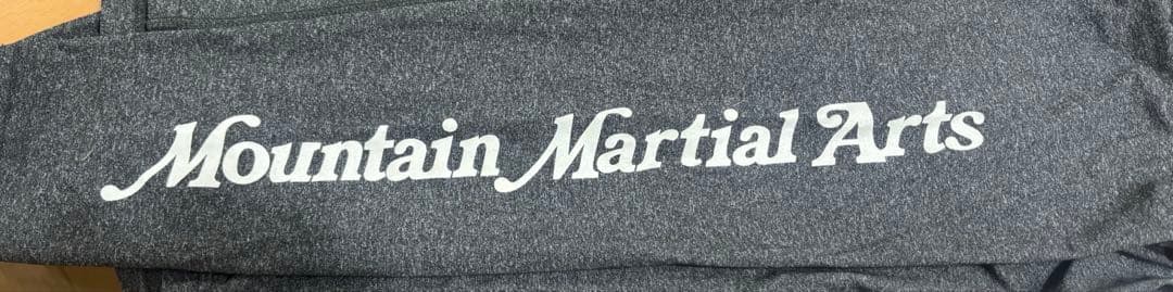mountain martial arts☆ロングTシャツ☆XSサイズ
