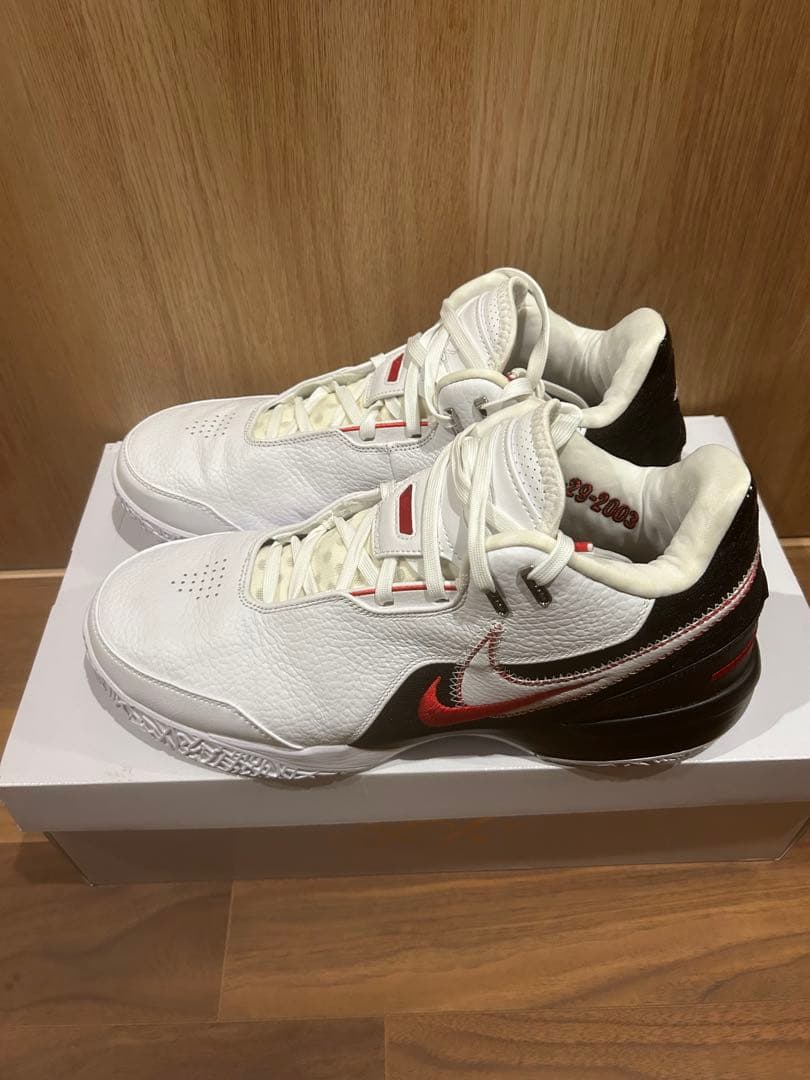 Nike レブロンNXXT GEN AMPD EP