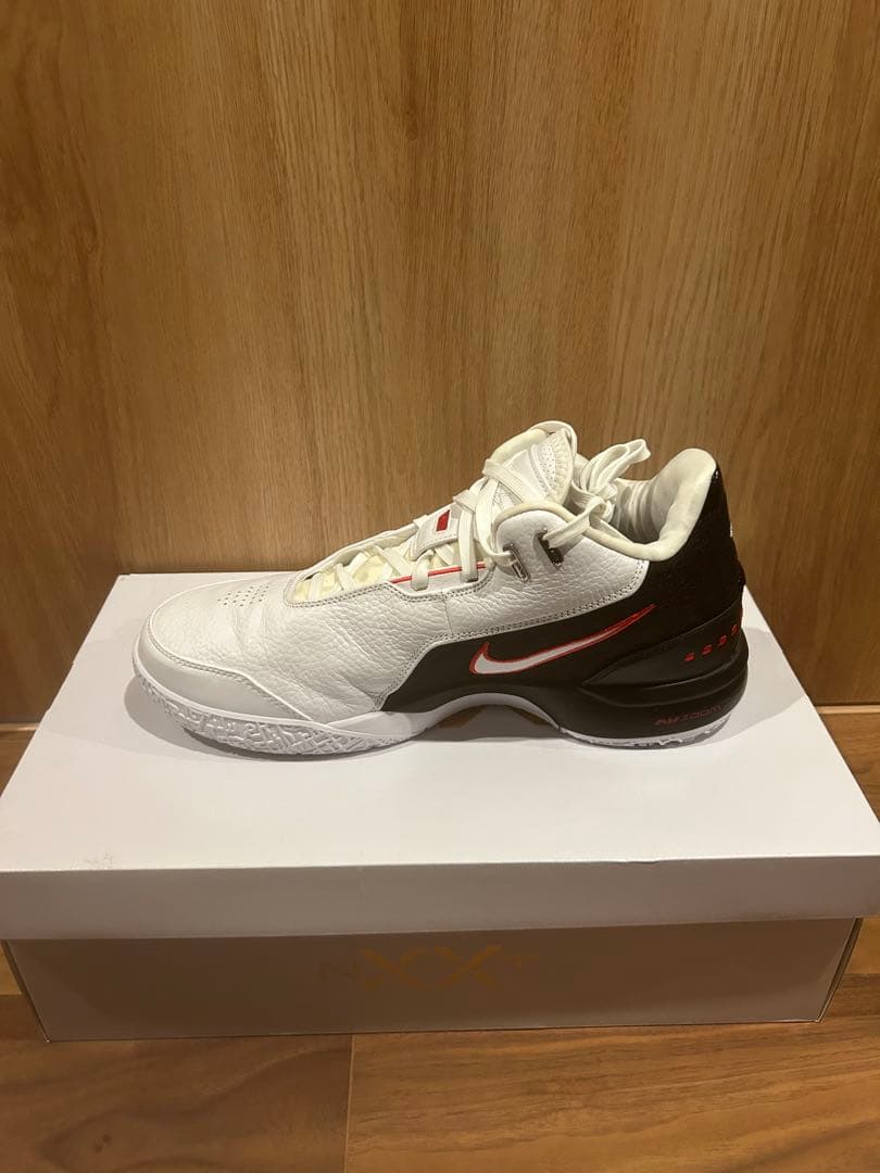 Nike レブロンNXXT GEN AMPD EP