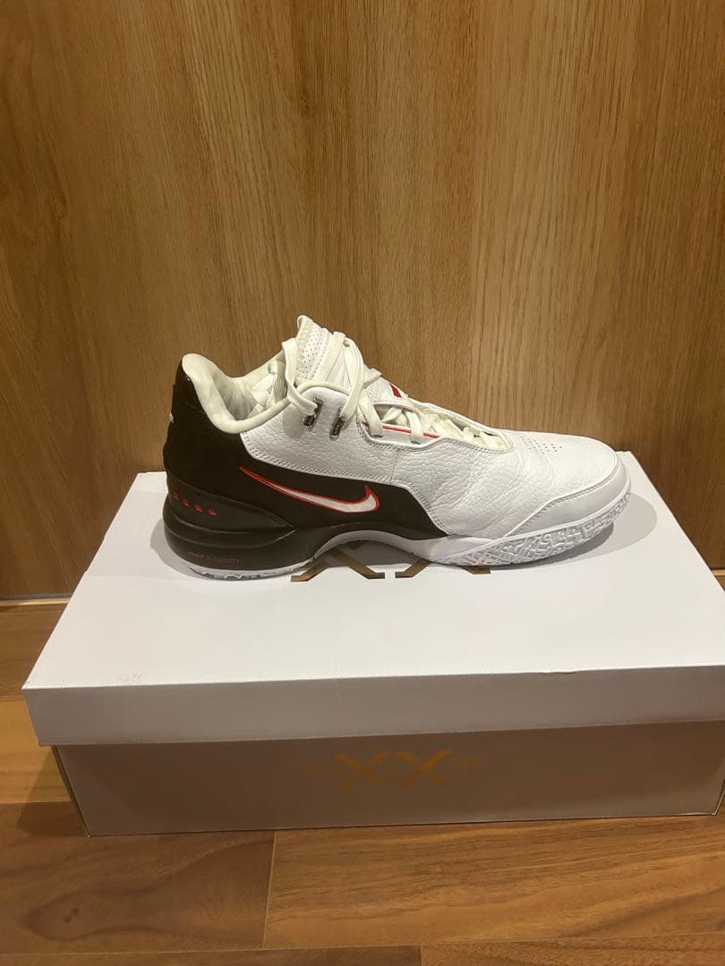 Nike レブロンNXXT GEN AMPD EP