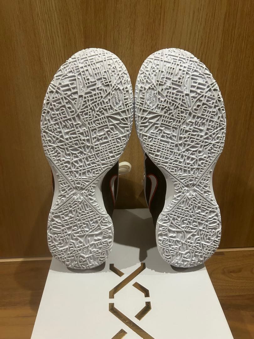 Nike レブロンNXXT GEN AMPD EP