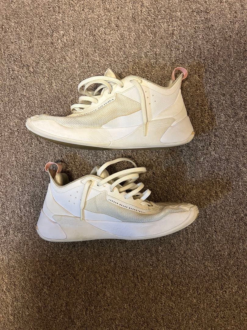 Jordan ルカ1 25.5cm