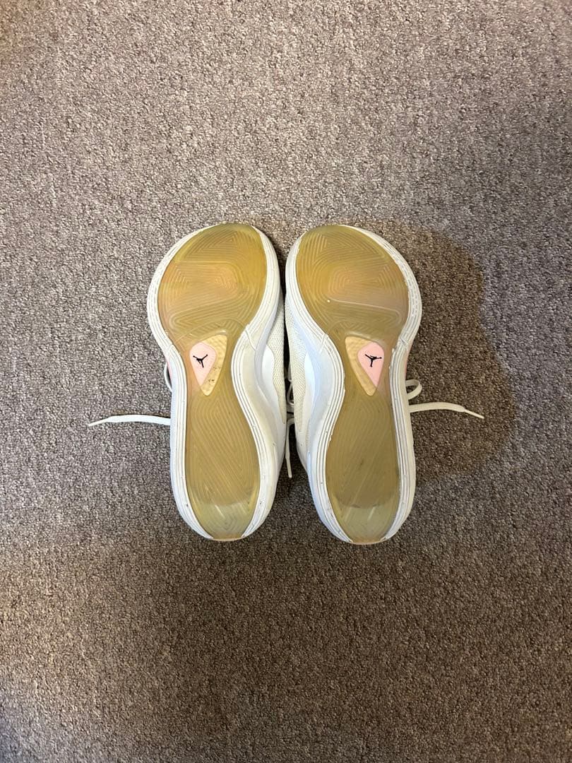 Jordan ルカ1 25.5cm