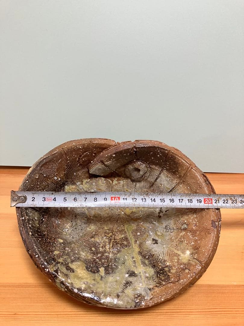琉球　沖縄　当真裕爾作　貝型の皿　ヤチムン　やちむん　珍品　希少 ニュウ有