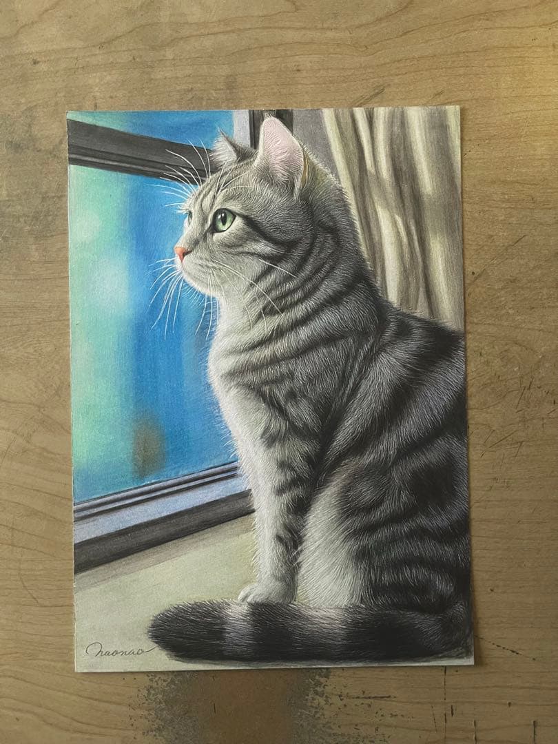 色鉛筆画アメリカンショートヘア.22