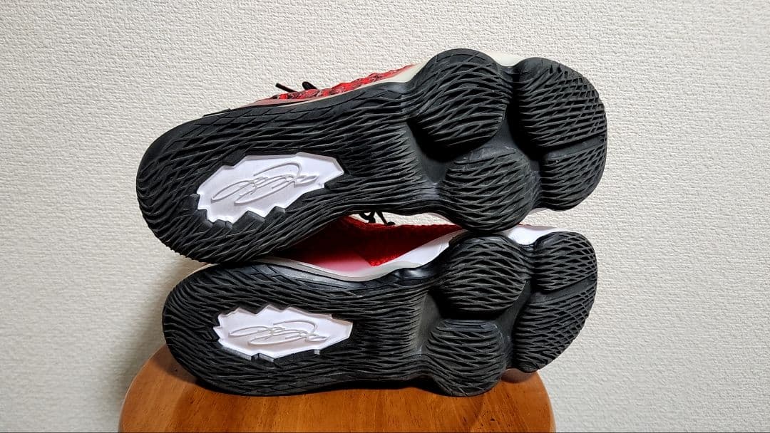 NIKE レブロン 27.0