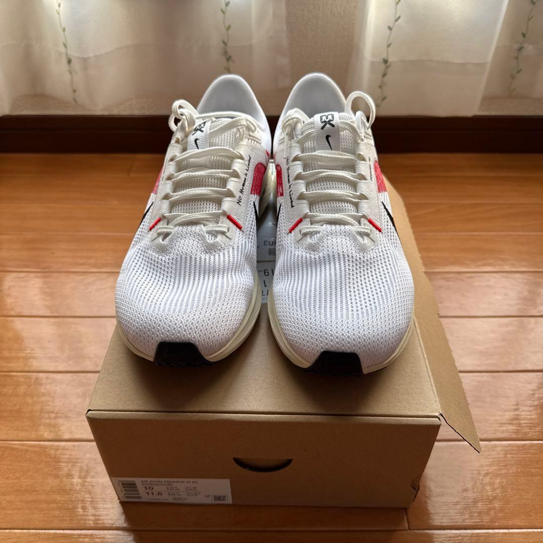Nike Pegasus ペガサス40 EK 28.0cm