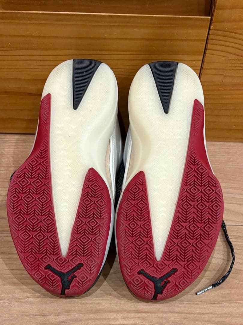 NIKE AIR JORDAN 40 シカゴカラー